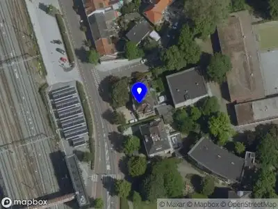 Steady dogs Maastricht Maastricht