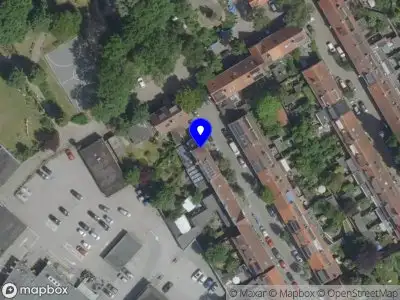 seed2tree Eindhoven