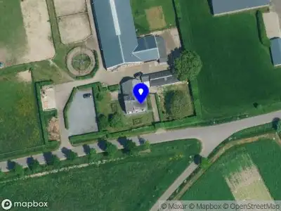 Stoeterij It Swarte Goud B.V.