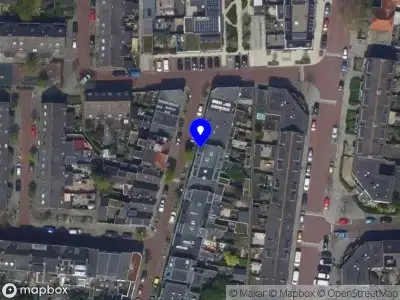 Lila Fiora Kluin Leiden