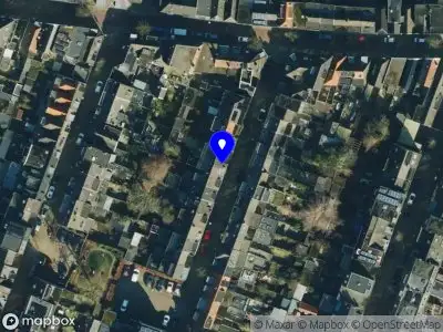 Behout houtzagerij & boomverzorging