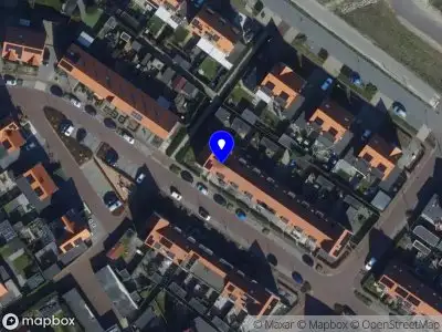 Hoog & Droog Bloemen