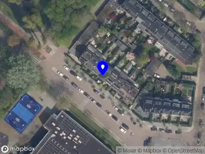 Pruymboom Interim Management