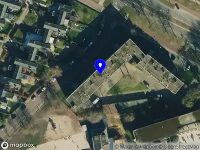 Nieuw bedrijf Marijn van Vilsteren Bassist