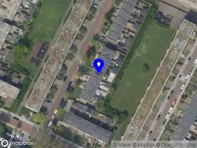 Loslopen wandelcoaching en hondenuitlaatservice