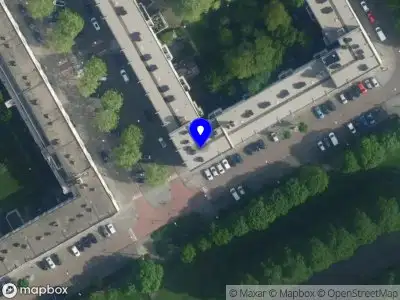 Ivy Flow Amsterdam