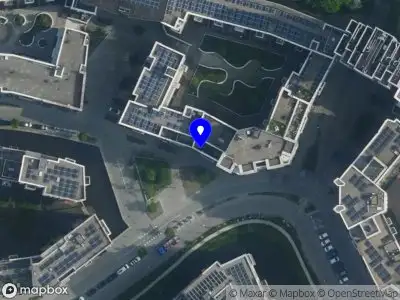 Bewaarder Livingstone Tree B.V.