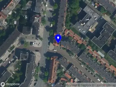 Participatory Universe