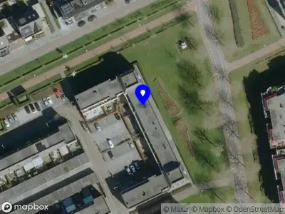 Bonjour Lashes by Malgorzata