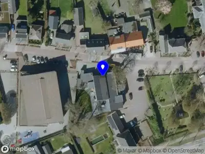 Nieuw bedrijf Concept Boom