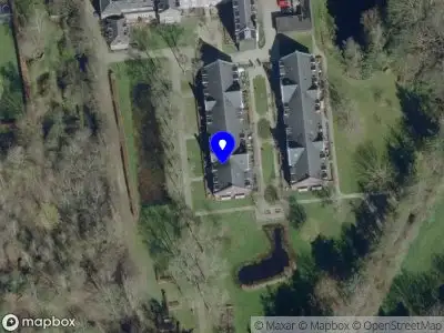 Dentico's dienstverlening