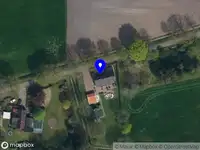 Interim Management Umique