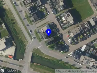 Little Miracle Photography