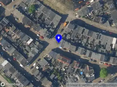 Polly Wellness & Care