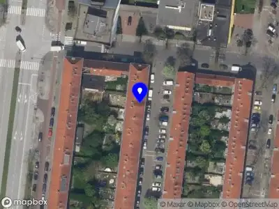 Capricorn Taallessen en Vertalingen Rotterdam