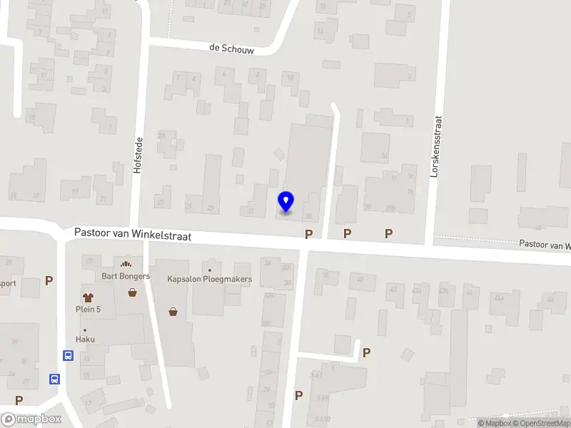 Cichy High Standard Renovation (HSR)