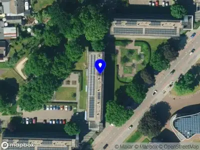 The Softwash Company