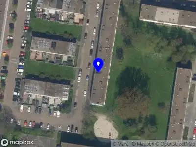 Baltacisteiger Vlaardingen