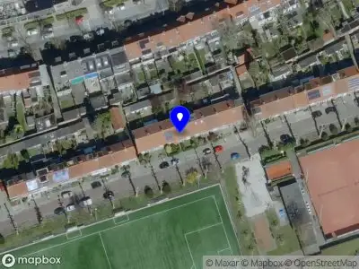 Nieuw bedrijf Super Mario Insulation