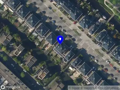 Studio Creative Tiger