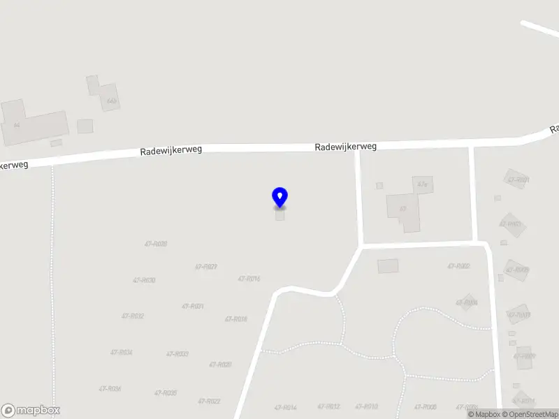 Hondenschool Delightful Dogs