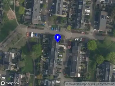 Anne van der Veen Art