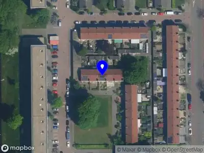 Dutch Fiber Optics Haarlem