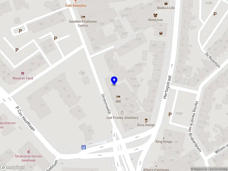 Nieuw bedrijf Maxine Rietveld