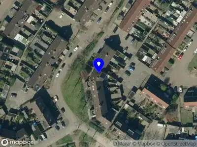 Toy van der Steen Orthomoleculair advies