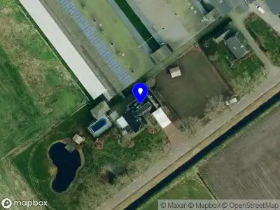 Twin Eggs Heemserveen