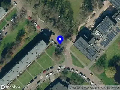 Snelders Creative Consultant