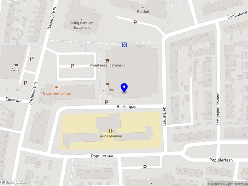 Ridefy Bergen op Zoom
