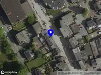 Dierenkliniek Brunssum - De dikke kater