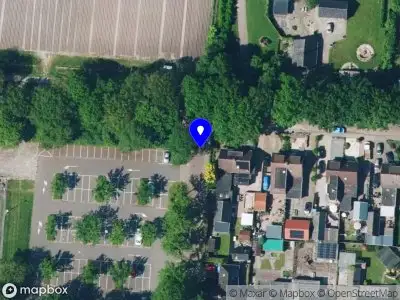 Borders Hondenschool Elim