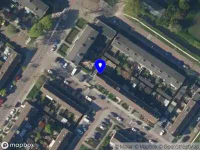 Stichting The Surviving Dogs