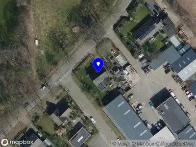 Monique's Animal Drawings