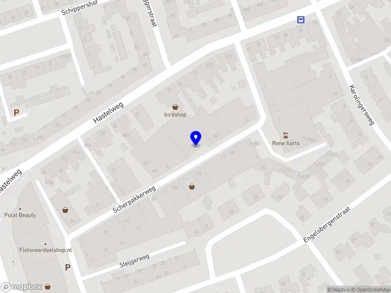 Birdshop Eindhoven Eindhoven