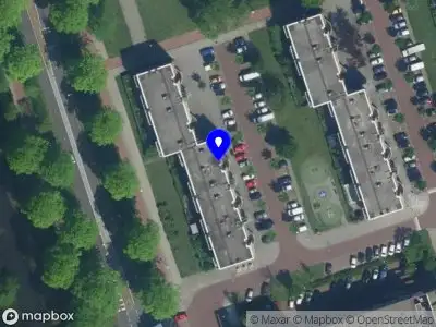 Narin Ballon Decoratie