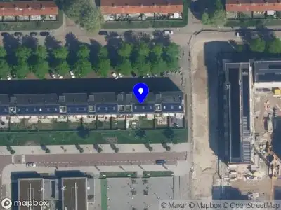 De hondentrainer Lilian Amsterdam