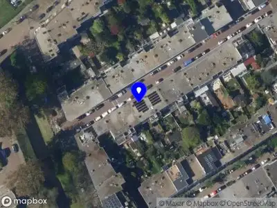 Nieuw bedrijf Palmtreat