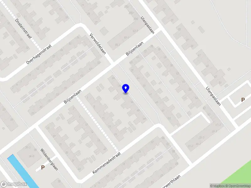 Elvira Anderson Braincoach Arnhem