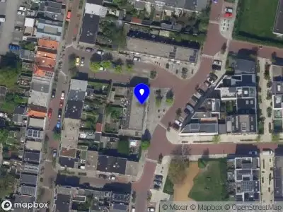 Studio Pollie Illustraties