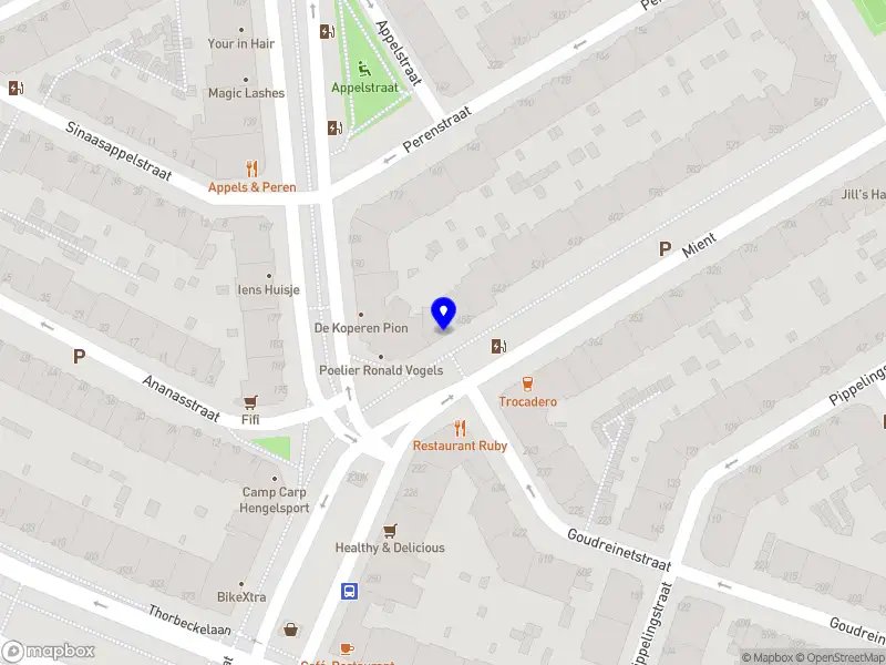 Nieuw bedrijf Apex Innovations B.V.