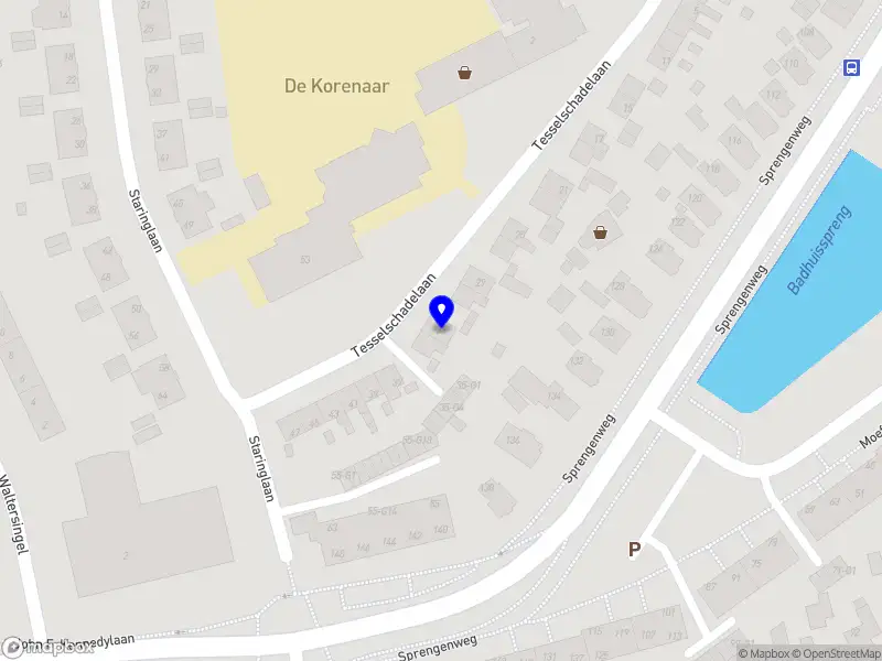 Heijnen - Onderwijsprofessional