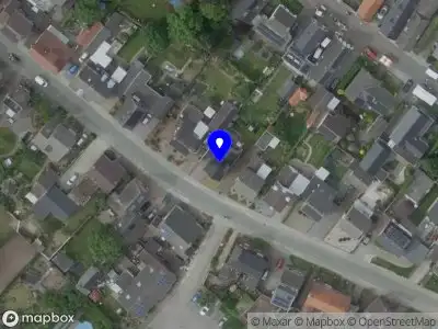 Nieuw bedrijf Luisa's Vegan Art