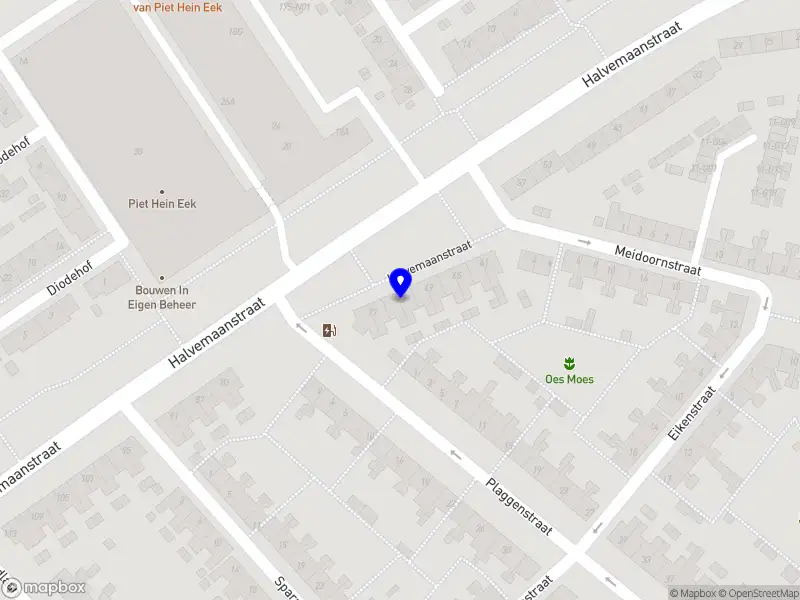 Susanna Elektra & More