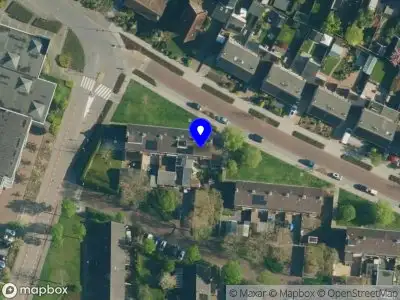 Nieuw bedrijf Pocket full of greens