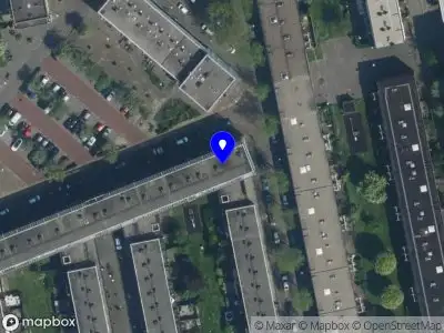 Ashley Hoy Amsterdam