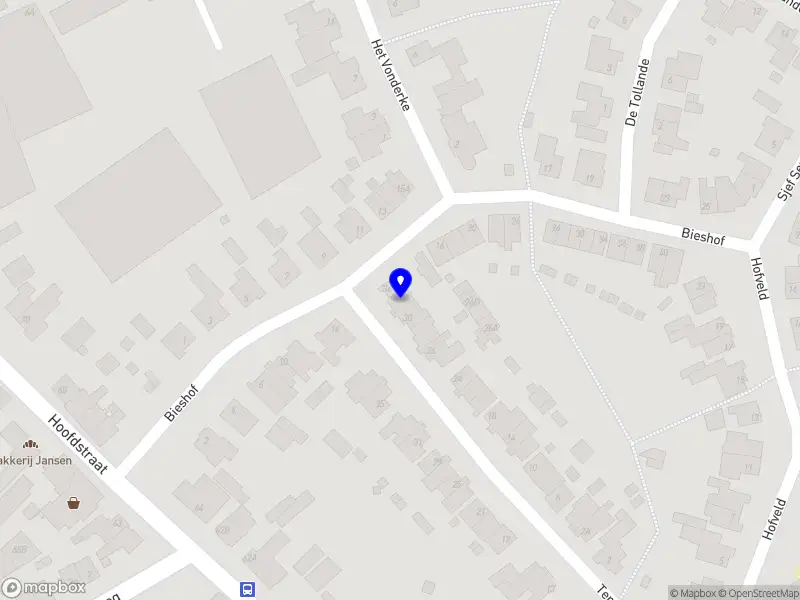 Nieuw bedrijf Amo-Lingue