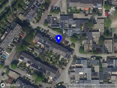 DMaczek Leiden